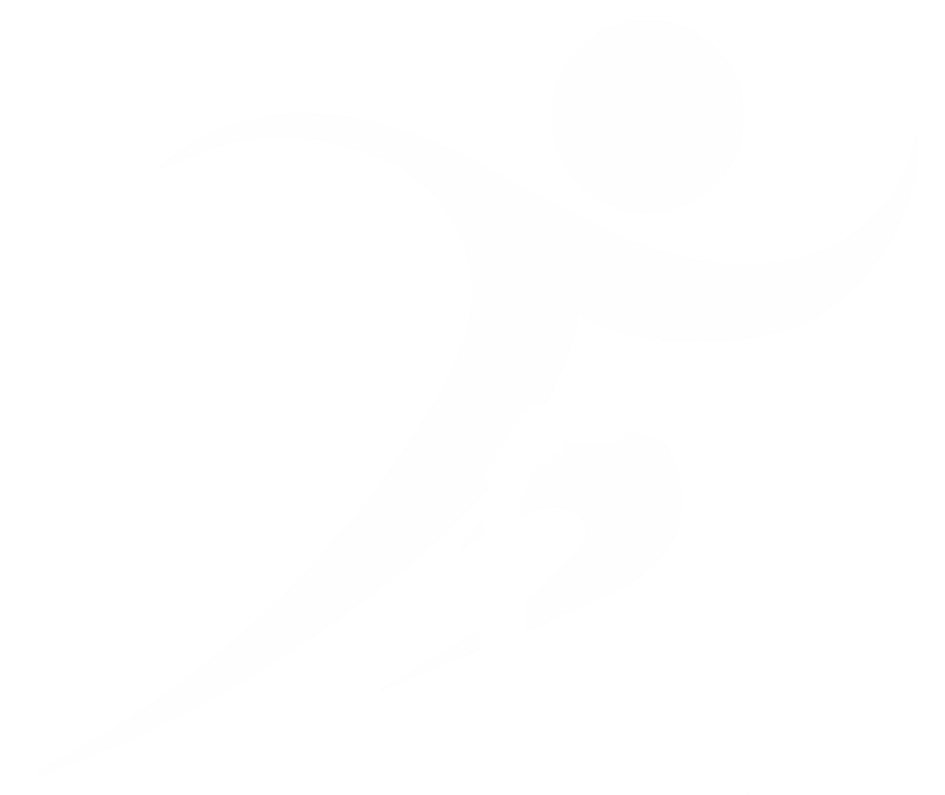 santé et performance du coureur à pied