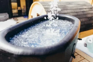 baignoire pour bain glacé